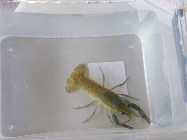dscf3127_small_.jpg